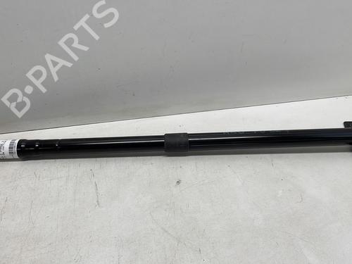Used Tailgate lift support FORD C-MAX II (DXA/CB7, DXA/CEU) 1.5 TDCi (120 hp) 23271163