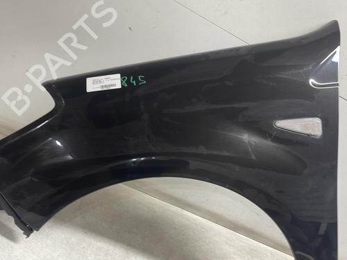 Left front fenders DACIA SANDERO 1.4 (BS0C, BS0A, BS0G, BS1F, BS0E) | BP29604589C41 