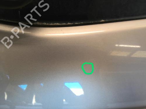 Tailgate RENAULT CLIO III (BR0/1, CR0/1) 1.5 dCi (BR17, CR17) | BP24590392C6 