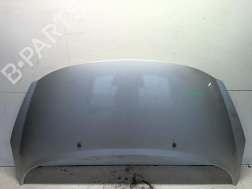 Used Hood PEUGEOT 207 SW (WK_) 1.6 HDi (90 hp) 25215022