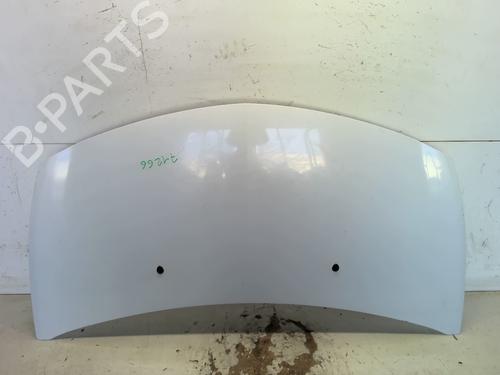 Used Hood RENAULT CLIO III (BR0/1, CR0/1) 1.5 dCi (C/BR0G, C/BR1G) (68 hp) 25892408