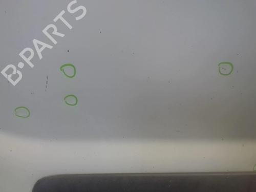 Left front door RENAULT KANGOO Express (FC0/1_) 1.5 dCi (FC07, FC1R) | BP18217910C2 