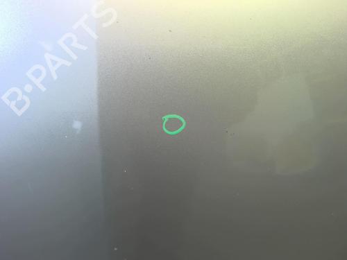 Hood OPEL MERIVA A MPV (X03) 1.7 CDTI (E75) | BP18231265C1 