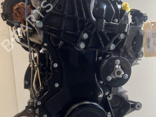 Engine RENAULT KOLEOS I (HY_) 2.0 dCi (HY0K) | BP19648043M1 