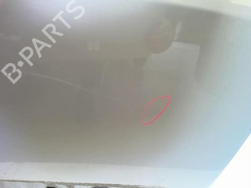 Right front door RENAULT SCÉNIC II (JM0/1_) 1.5 dCi (JM0F) | BP23847031C3 