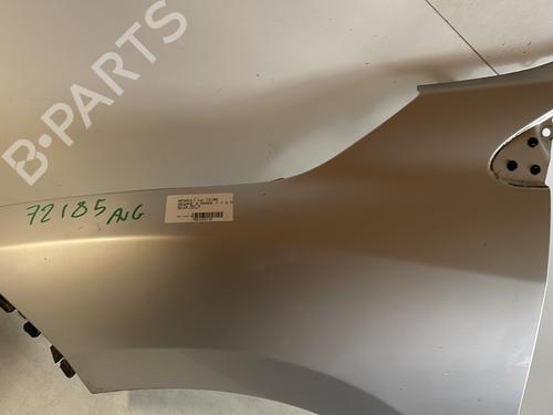 Left front fenders RENAULT MEGANE III Hatchback (BZ0/1_, B3_) 1.5 dCi (BZ0C) | BP23887577C41 