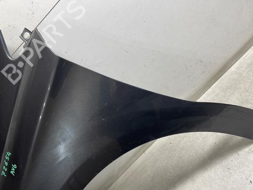 Left front fenders CITROËN C4 II (NC_) 1.6 HDi 115 | BP27652189C41 
