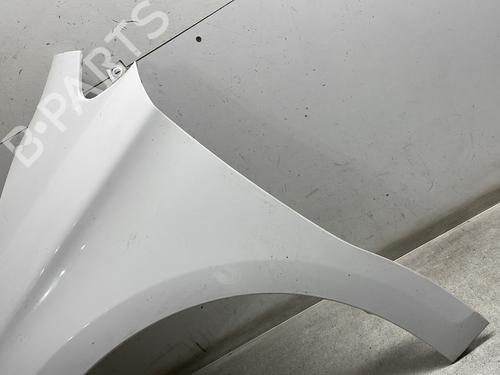 left-front-fenders-citroen-c4-ii-nc_-2009-31351635 main image