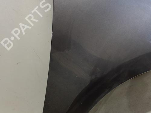 Right front fenders RENAULT SCÉNIC III (JZ0/1_) 1.5 dCi | BP25623510C42 