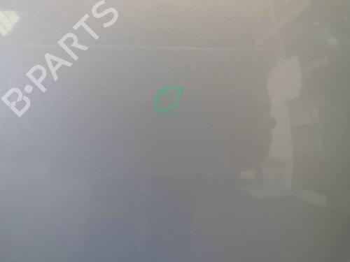 Used Hood Hood CITROËN C3 I (FC_, FN_) 1.4 HDi (68 hp) 18214475 18214475