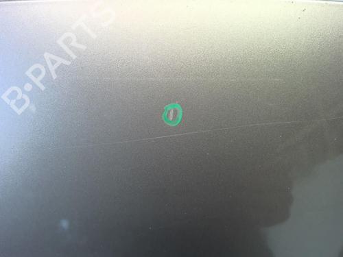 Hood RENAULT SCÉNIC III (JZ0/1_) 1.5 dCi | BP18220198C1