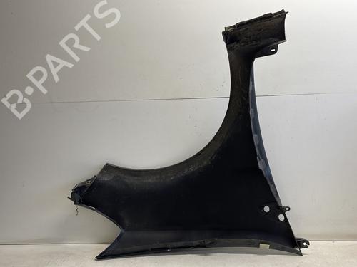 Left front fenders RENAULT CLIO III (BR0/1, CR0/1) 1.2 16V Hi-Flex (BR1U, CR1U) | BP25407849C41 