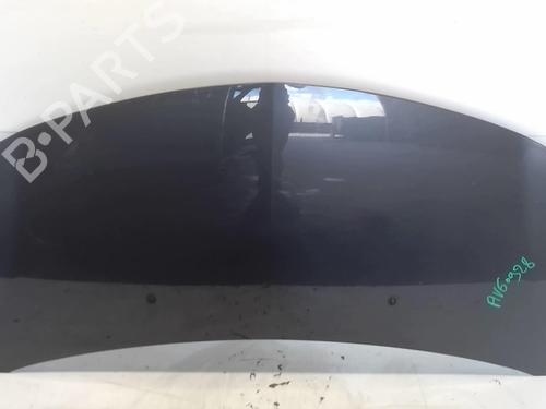 Used Hood RENAULT CLIO III (BR0/1, CR0/1) 1.5 dCi (BR17, CR17) (86 hp) 18214850