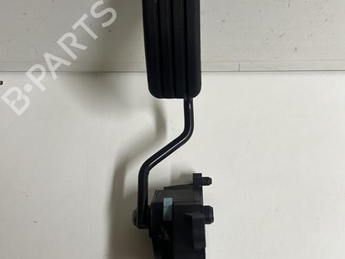 Used Pedal RENAULT CLIO III (BR0/1, CR0/1) 1.4 16V (98 hp) 24430055