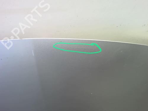 Hood RENAULT CLIO III (BR0/1, CR0/1) 1.5 dCi (BR17, CR17) | BP18213127C1 