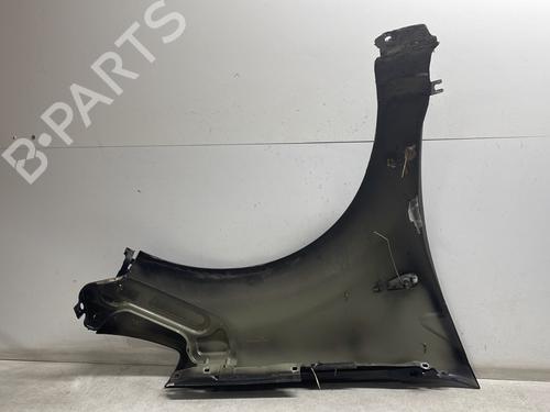 Left front fenders DACIA SANDERO 1.4 (BS0C, BS0A, BS0G, BS1F, BS0E) | BP29604589C41 