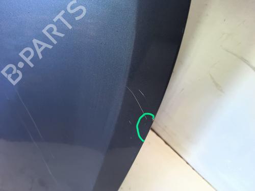 Left rear door RENAULT CLIO III (BR0/1, CR0/1) 1.2 16V (BR02, BR0J, BR11, CR02, CR0J, CR11) | BP25475655C4 