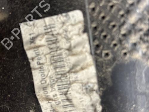 Headlight eyebrow RENAULT KANGOO / GRAND KANGOO II (KW0/1_) 1.5 dCi 90 (KW05, KW08, KW0G, KW11) | BP29974355C118