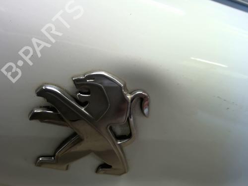 Tailgate PEUGEOT 208 I (CA_, CC_) 1.2 THP 110 | BP29202020C6