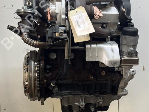 Used Engine CHEVROLET CAPTIVA (C100, C140) 2.0 D (150 hp) 29146176