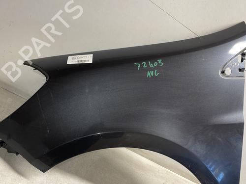 Left front fenders RENAULT CLIO III (BR0/1, CR0/1) 1.5 dCi (BR17, CR17) | BP26947124C41 