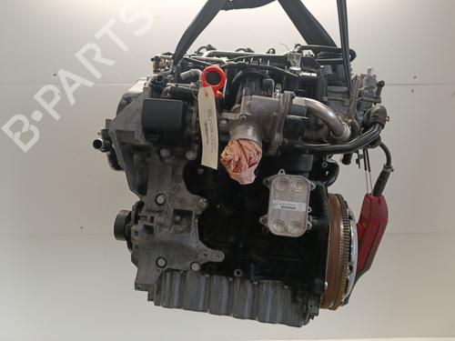 Engine SEAT LEON (1P1)  | BP34104984M1  - Image 8