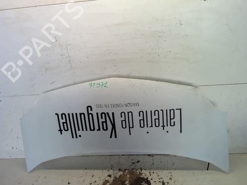 hood-renault-kangoo-express-fw01_-2008-27637636 main image