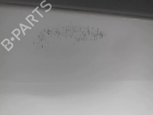 Used Right front door RENAULT CLIO III (BR0/1, CR0/1) 1.5 dCi (BR17, CR17) (86 hp) 18231971