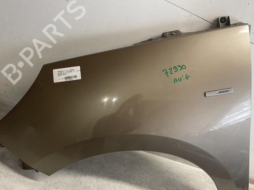 Left front fenders RENAULT GRAND SCÉNIC III (JZ0/1_) 1.6 dCi (JZ00, JZ12) | BP29573988C41 