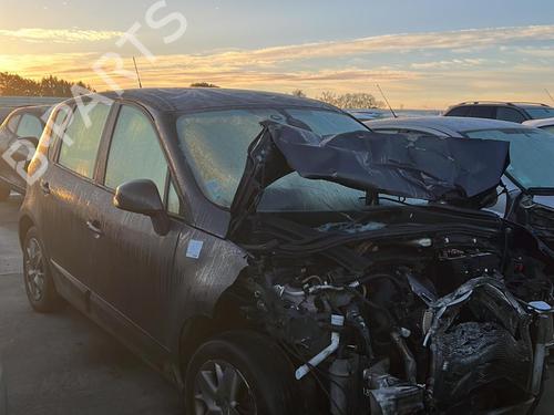 Left front door RENAULT SCÉNIC III (JZ0/1_) 1.5 dCi | BP19932056C2 