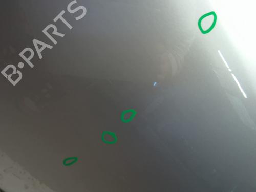 Right front door SKODA FABIA II (542) 1.4 TDI | BP23859643C3 