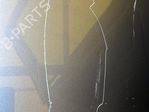 Left rear door RENAULT SCÉNIC III (JZ0/1_) 1.5 dCi | BP23402846C4 