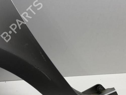 Left front fenders RENAULT CLIO III (BR0/1, CR0/1) 1.5 dCi (C/BR0G, C/BR1G) | BP18214229C41