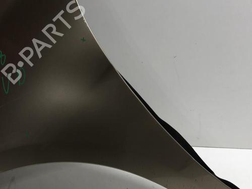 Left front fenders MERCEDES-BENZ A-CLASS (W169) A 200 CDI (169.008, 169.308) | BP18217570C41 