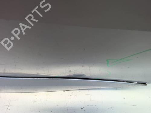 Right front door RENAULT SCÉNIC III (JZ0/1_) 1.6 dCi (JZ00, JZ12) | BP23762627C3 