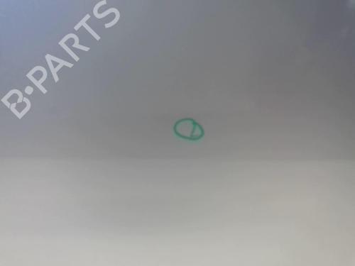 Left front door BMW 5 (E60) 530 i | BP18224591C2 