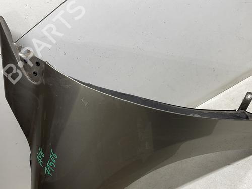 Left front fenders RENAULT MEGANE III Hatchback (BZ0/1_, B3_) 1.5 dCi (BZ09, BZ0D, BZ1W, BZ29, BZ14) | BP25732232C41 