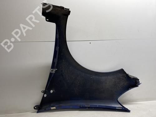 Right front fenders RENAULT CLIO III (BR0/1, CR0/1) 1.5 dCi (C/BR0G, C/BR1G) | BP23968034C42 