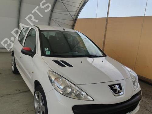 Left front door PEUGEOT 206+ (2L_, 2M_) 1.4 i (2LKFWA, 2MKFWA) | BP18210895C2 