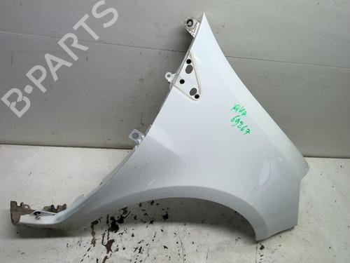 Right front fenders RENAULT CLIO III (BR0/1, CR0/1) 1.5 dCi (BR17, CR17) | BP18212569C42 