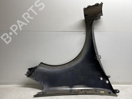 Left front fenders RENAULT CLIO III (BR0/1, CR0/1) 1.2 16V (BR02, BR0J, BR11, CR02, CR0J, CR11) | BP24817092C41 