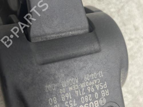 Pedal CITROËN DS5 2.0 HDi 165 | BP29506897I4 