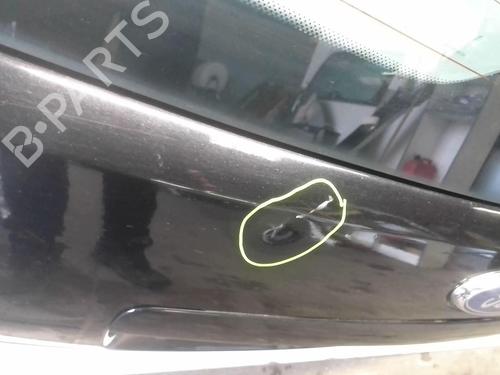 Used Tailgate FORD C-MAX (DM2) 1.6 TDCi (109 hp) 18217914