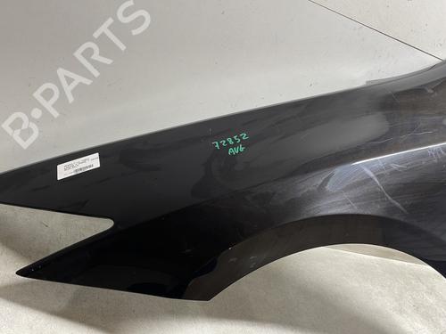 Left front fenders RENAULT LAGUNA Coupe (DT0/1) 2.0 dCi (DT01, DT08, DT09, DT0K, DT12, DT1C, DT1D, DT1M,... | BP29174123C41 