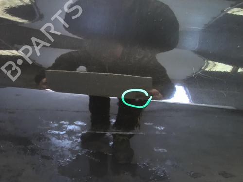 Right front door RENAULT CLIO III Grandtour (KR0/1_) 1.5 dCi (KR0F) | BP18877159C3 