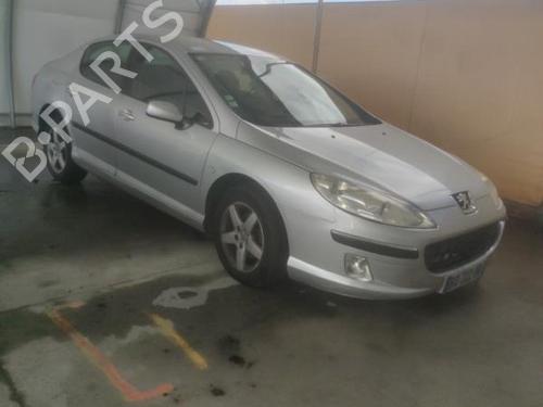 Tailgate PEUGEOT 407 (6D_) 2.0 HDi 135 (6DRHRH, 6DRHRE, 6DRHRG, 6DRHRJ) | BP18220705C6 