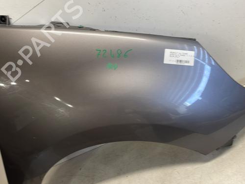 Right front fenders RENAULT SCÉNIC III (JZ0/1_) 1.5 dCi | BP26035104C42