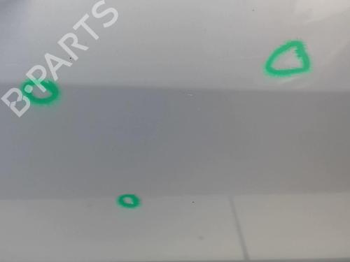 Right front door RENAULT MEGANE II Estate (KM0/1_) 1.5 dCi (KM0F, KM0T, KM2B) | BP18218323C3 