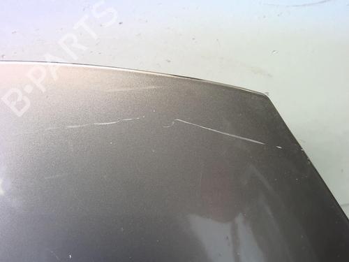 Hood RENAULT SCÉNIC III (JZ0/1_) 1.5 dCi | BP18220198C1