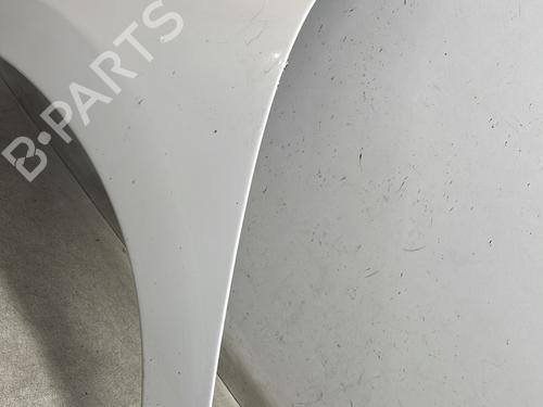 Left front fenders PEUGEOT 207 (WA_, WC_) 1.4 HDi | BP29611748C41 